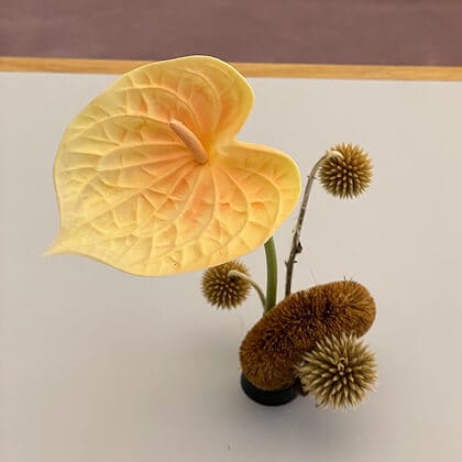 Artificial Landscape