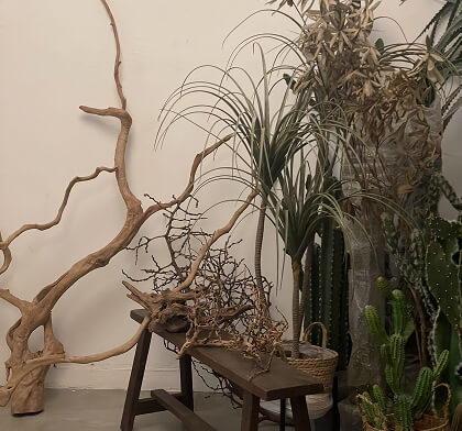 Dried Floral Installation