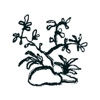 Artificial Landscape