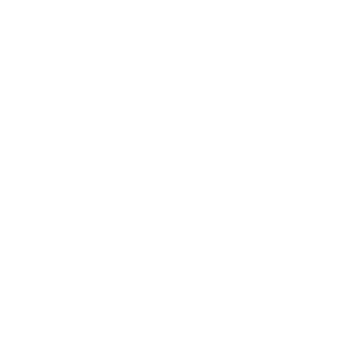 Dried Floral Installation