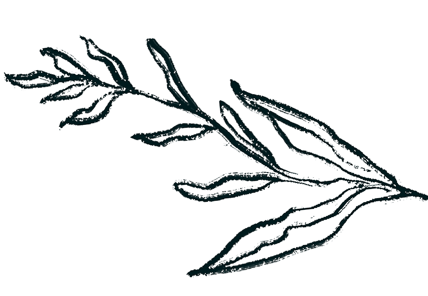 Explore Our Services