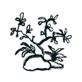 Artificial Landscape