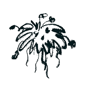 Dried Floral Installation