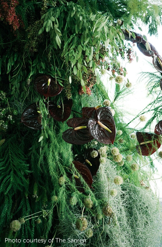 Bay & Sean at Ciao Ristorante