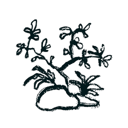 Artificial Landscape